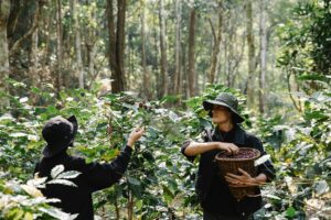 Farmer brothers coffee
